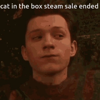 Man Cat In The Box Steam Sale Ended GIF