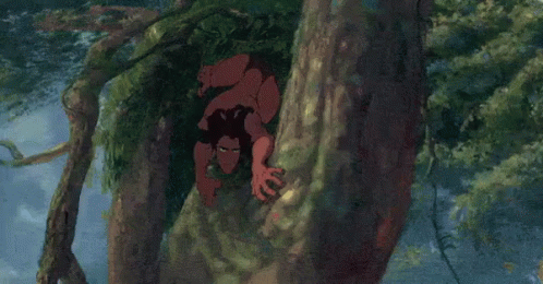 Man Climbing a Tree