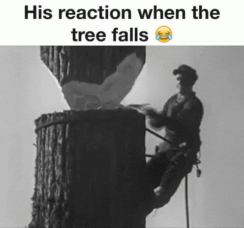 Man Climbing Tree Stump Black and White Reaction When Tree Falls