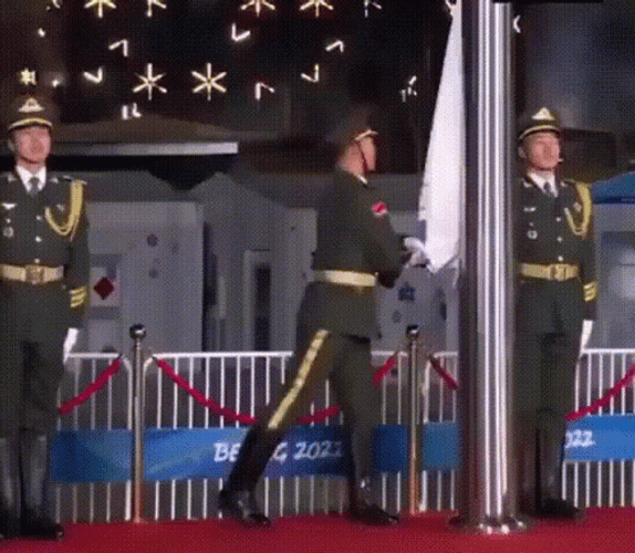 Man Covered Up With White Flag GIF