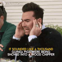 Man Covering Ears Saying Guinea Pigs