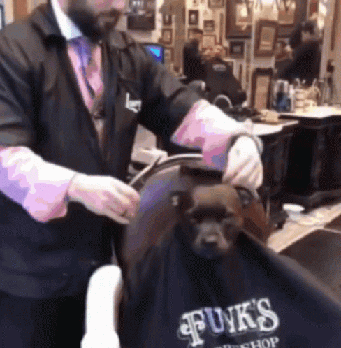 Man Cutting Dogs Hair Funk's Barbershop