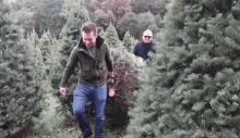 Man Cutting Tree For Christmas Season GIF