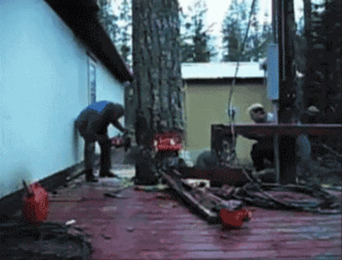 Man Cutting Tree With Chainsaw