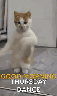 Man Dancing in Front of Couch Saying You Say Thursday We Say Friday Eve