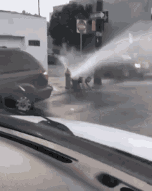 Man Diarrhea On Fire Hydrant GIF