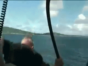 Man Dive Hugging Fish GIF