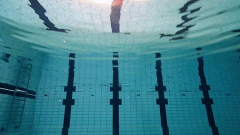 Man Diving In Pool GIF