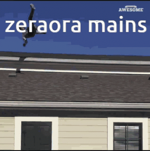 Man Doing Handstand on Roof Saying Zeraora Mains