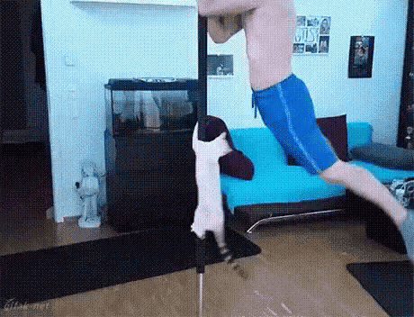 Man Doing Pole Dance With His Cat GIF