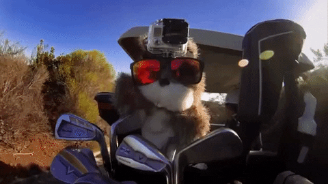 Man Driving Golf Cart GIF