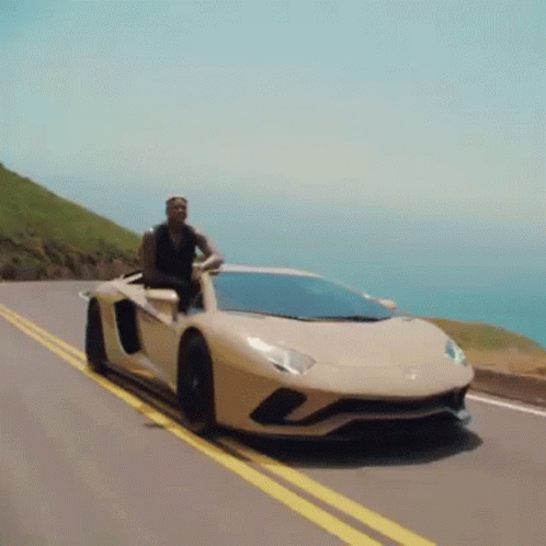 Man Driving Lamborghini Aventador Ha Ha