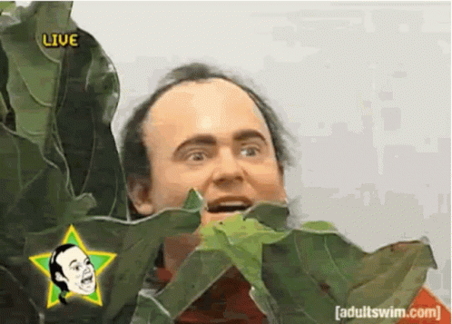 Man Eating Green Leaf Under Star Saying Live GIF