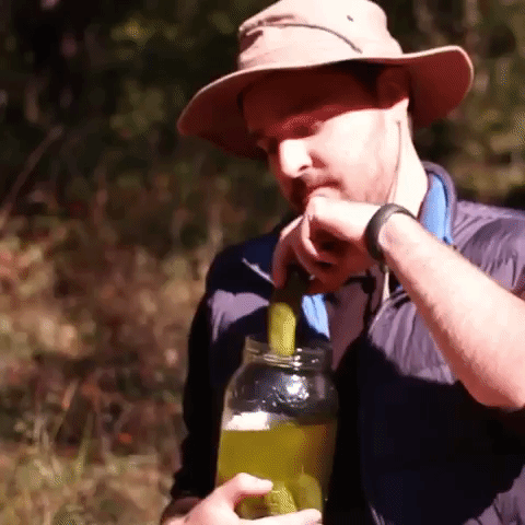 Man Eating Pickle GIF