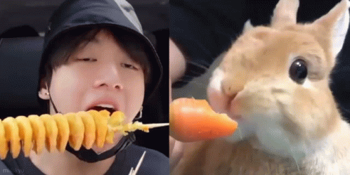 Man Eating Spiral Fries Beside Rabbit Eating Carrot