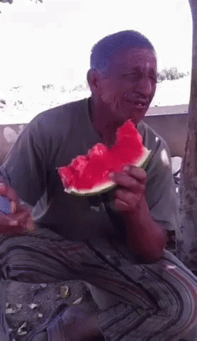 Man Eating Watermelon Under Tree GIF