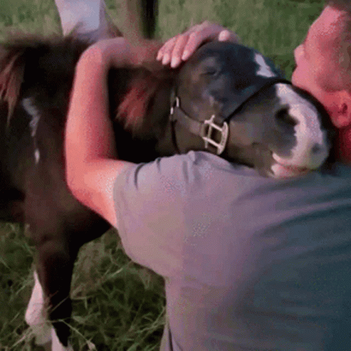 Man Embracing And Petting Pony GIF