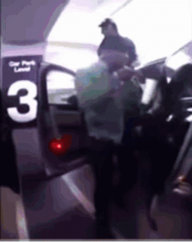 Man Exiting Car Number 3 GIF