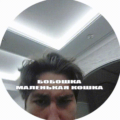 Man Face in Circle Saying Boboshka
