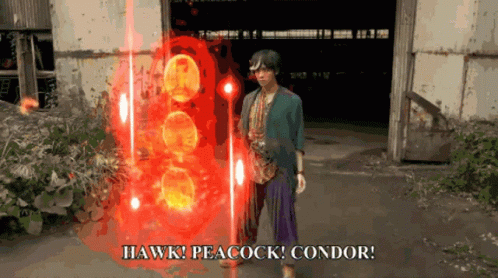 Man Facing Red Light Saying Hawk Peacock Condor