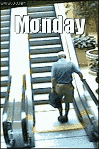 Man Falls Down In Escalator Funny Monday Mood GIF