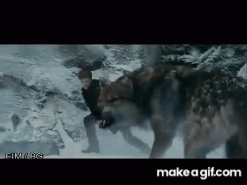 Man Fighting Wolf in Snow