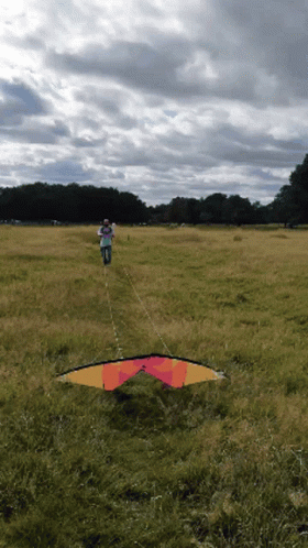 Man Flying Kite In Field GIF