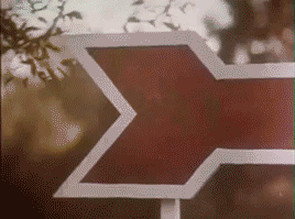 Man Following Pointing Arrow GIF