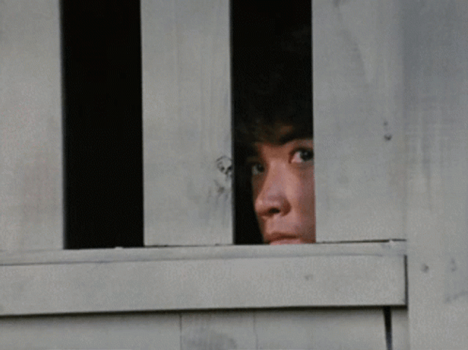 Man From Jail Watching You GIF