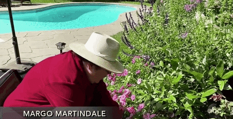 Man Gardening And Drinkin G Wine GIF