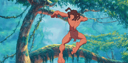 Man Hanging From Tree Branch Gif
