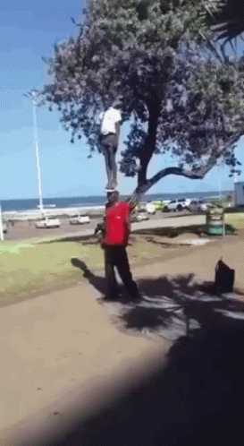 Man Hanging From Tree GIF