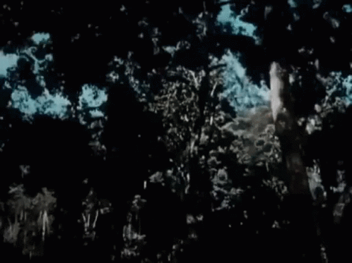 Man Hanging From Tree With Tarzan Text GIF