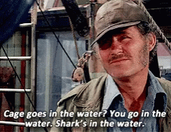 Man Hat Says Cage Goes in Water Sharks