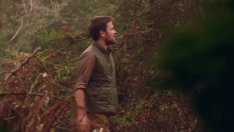 Man Hiking Lost In Forest Woods GIF