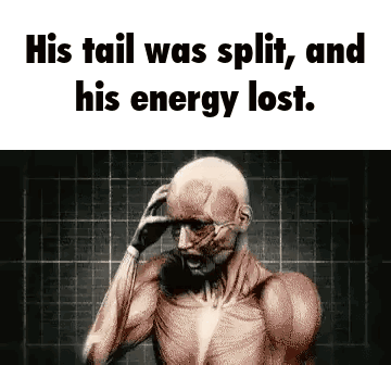 Man His Tail Was Split and His Energy Lost