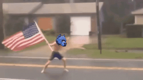 Man Holding American Flag With Blue Dog Head