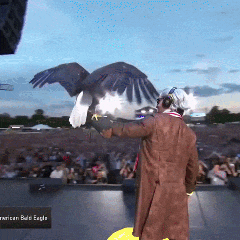 Man Holding Bald Eagle
