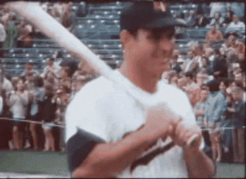 Man Holding Baseball Bat in Front of Crowd