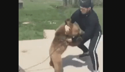 Man Holding Bear On Chain GIF