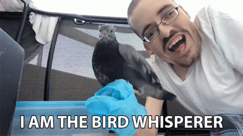 Man Holding Bird I Am The Bird Whisperer