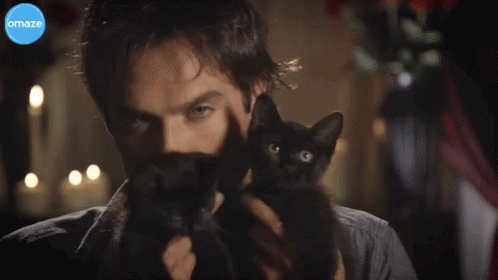 Man Holding Black Cat and Maze Logo