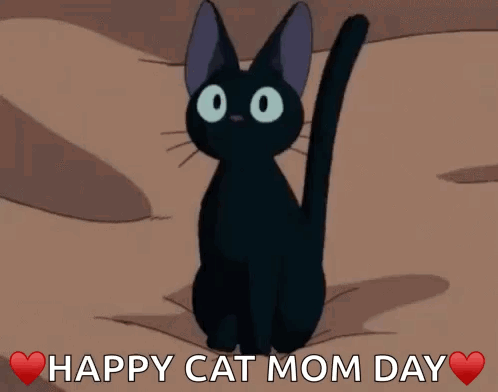 Man Holding Black Cat Proud Mother