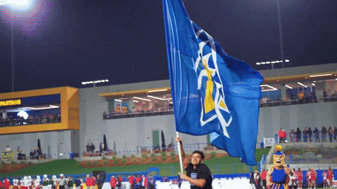 Man Holding Blue Flag With Yellow Triangle