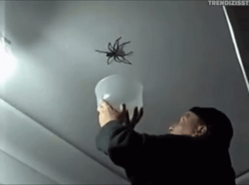 Man Holding Bucket and Spider Flying