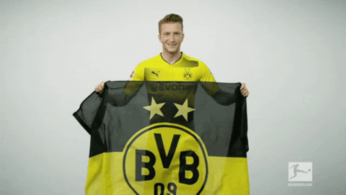 Man Holding BVB Flag In Front Of Bundesliga Logo GIF