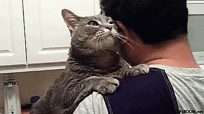 Man Holding Cat Sniffing His Ear