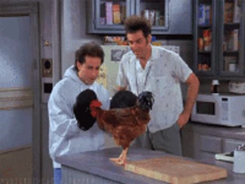 Man Holding Chicken Fidel Cashflow GIF