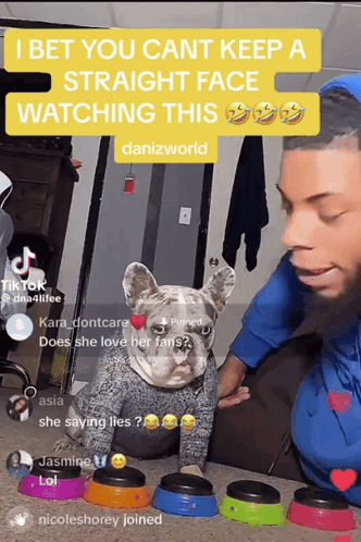 Man Holding Dog Danizworld Sign GIF