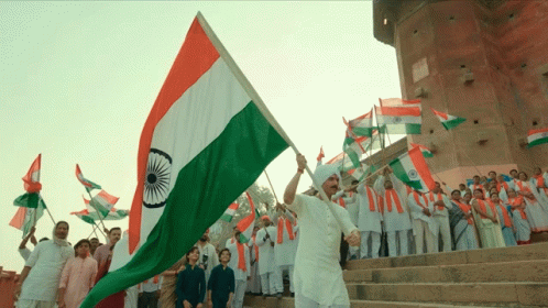Man Holding Flag in Front of Crowd